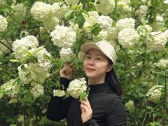 -南山植物园