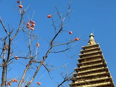 -北京石刻艺术博物馆(五塔寺)