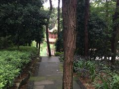 -铁山坪森林公园