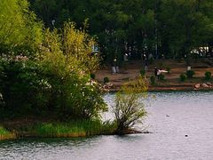 -丁香湖公园