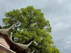 -南华禅寺