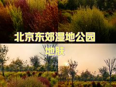 -东郊湿地公园