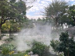 -深圳国际园林花卉博览园