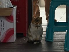 -东钱湖小普陀景区