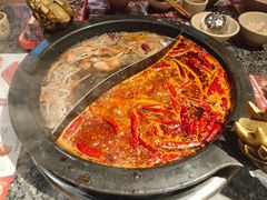 -蜀大侠火锅(建设路第五大道店)