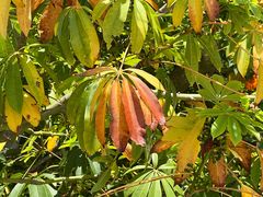 -三亚南山文化旅游区