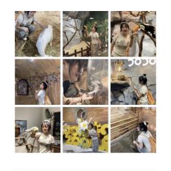 -Zoolung Zoolung动物主题公园(海信广场店)