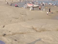 -南戴河国际娱乐中心