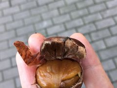 秋栗香(地安门总店)-秋栗香(地安门店)