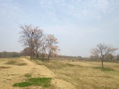 -盘龙城国家考古遗址公园