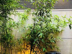 -汉唐驿-唐风美学民宿