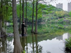 -重庆彩云湖湿地公园