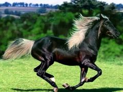 -泽友忆家·北京烤鸭(新余总店)