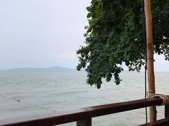 -卷心菜和避孕套餐厅(Pattaya)