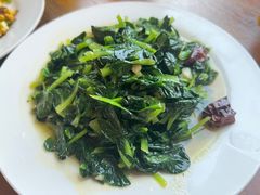 牡丹-翕庐小苑