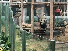 -大连森林动物园