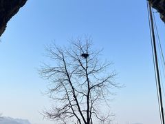 -抱犊寨风景区