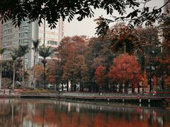 -四海公园(南山区)