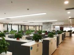-广东泽正律师事务所
