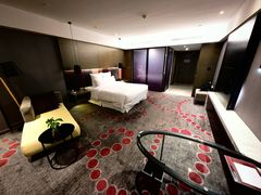 -南京禄口机场雅高铂尔曼大酒店