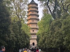 -灵谷景区