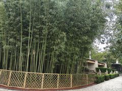 -春晖园度假酒店温泉