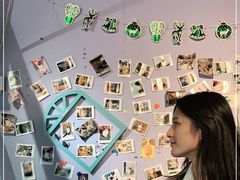 -喵屿·大理花园猫咖