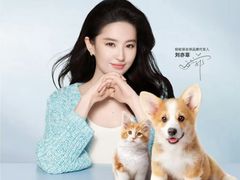 -北京观赏动物医院·24小时大型综合·猫专科·异宠专科