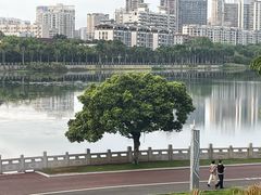 -南宁南湖公园
