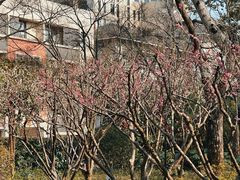 -汇龙潭