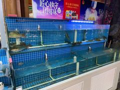-津沽小院(天津之眼店)