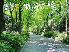 -杭州植物园