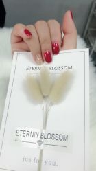 -7嘉nail eyelash·美甲美睫