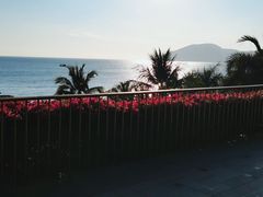 -日落吧·海景咖啡厅·餐酒吧·鸡尾酒·下午茶·乐队表演·浪漫夕阳·三亚文华东方酒店