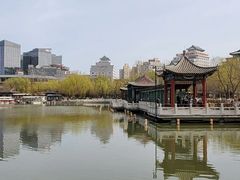 -莲花池公园