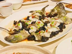 古法蒸老虎斑-利苑酒家(金宝店)