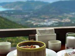 -三亚亚龙湾人间天堂鸟巢度假村