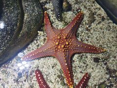 -嘉兴海底世界