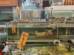 水产区-猪肉婆私房菜(容桂总店)