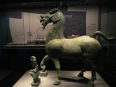 -广西壮族自治区博物馆