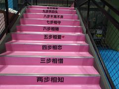 -天空之城蹦床攀岩运动馆·团建拓展·亲子游乐·生日派对(合肥店)