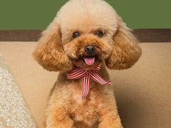 -泉州海丝野生动物世界