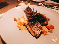 seabass-Aqua