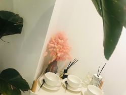 -紫御国际抗衰ZOE ANTI AGING