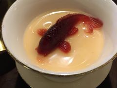 -甄御•海鲜新青岛菜(麦岛店)