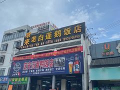 -常来老白莲鹅饭店(老城店)