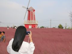 -羊亭河湿地公园