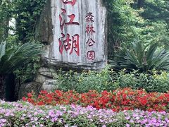 -广州白江湖森林公园