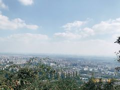 -杭州半山国家森林公园