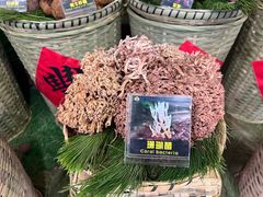 -菌彩云南野生菌火锅(呈贡七彩云南第壹城店)